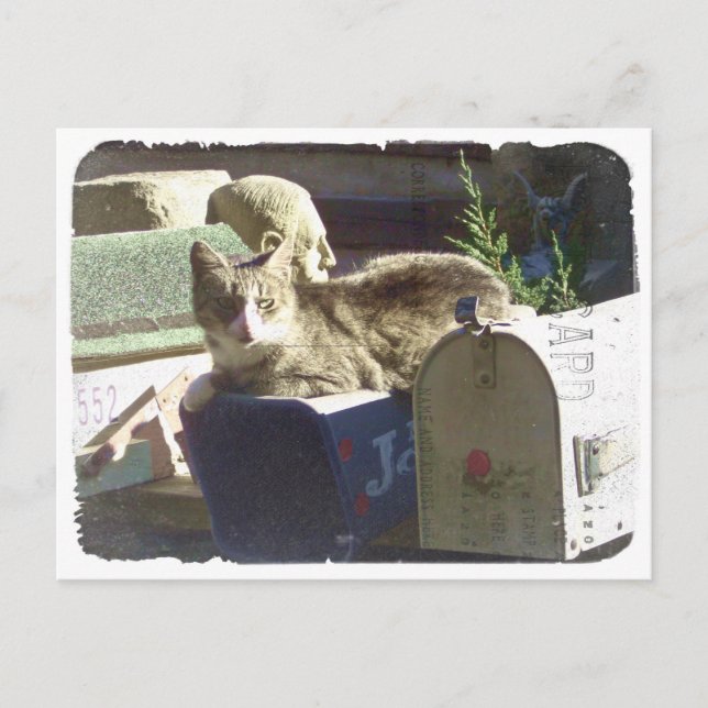 Tienes postal de correo (Anverso)