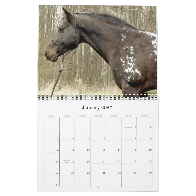 ¿TIENES PUNTOS? CALENDARIO DE APPALOOSA 2011 (Jan 2027)
