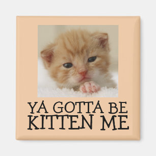 Tienes que ser gatito conmigo, divertidos imanes d