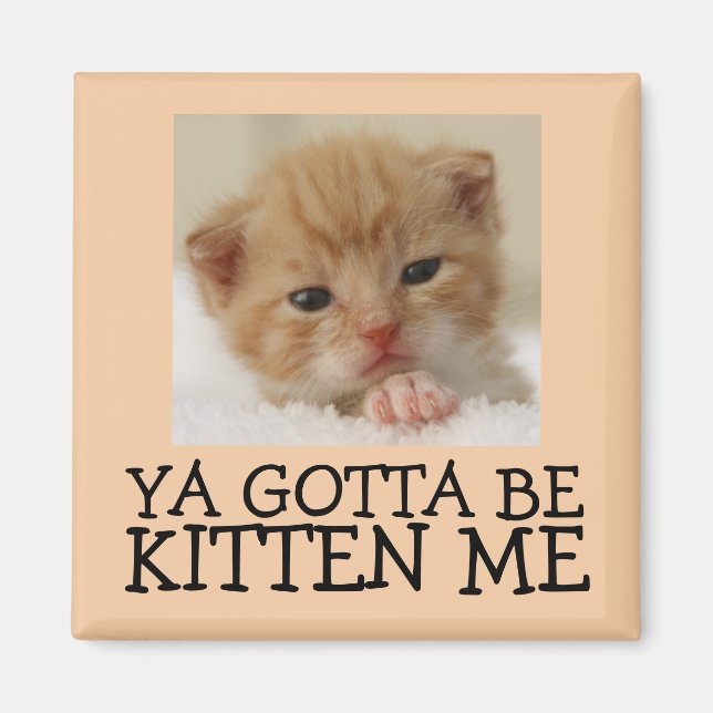 Tienes que ser gatito conmigo, divertidos imanes d (Frente)