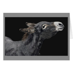 "¿Tienes zanahorias?" - Tarjeta de burro