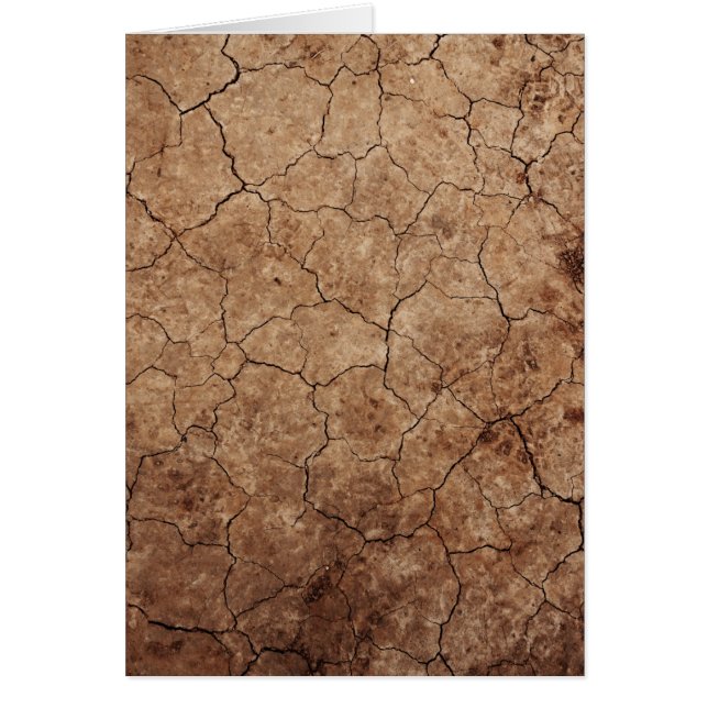 Tierra Árida Seca Agrietada (Frente)