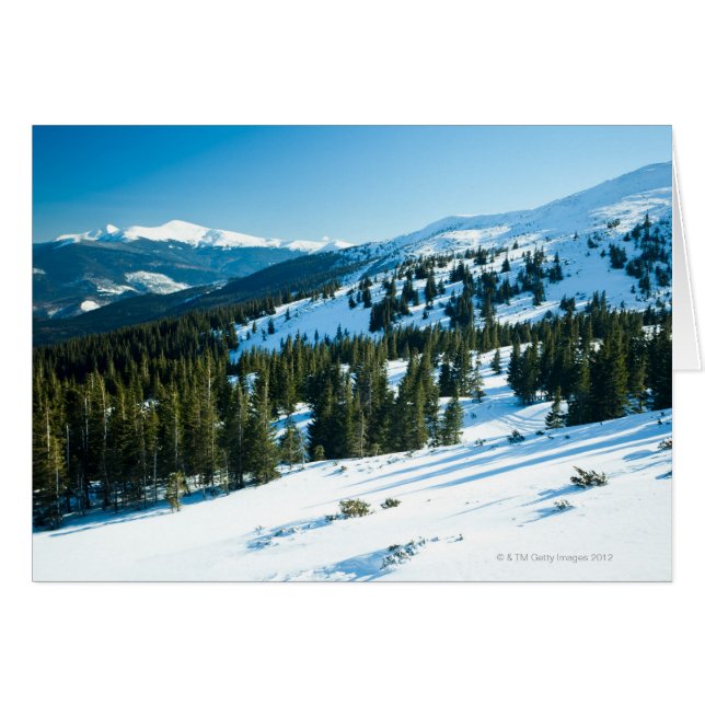 Tierra de invierno 3 (Anverso (Horizontal))