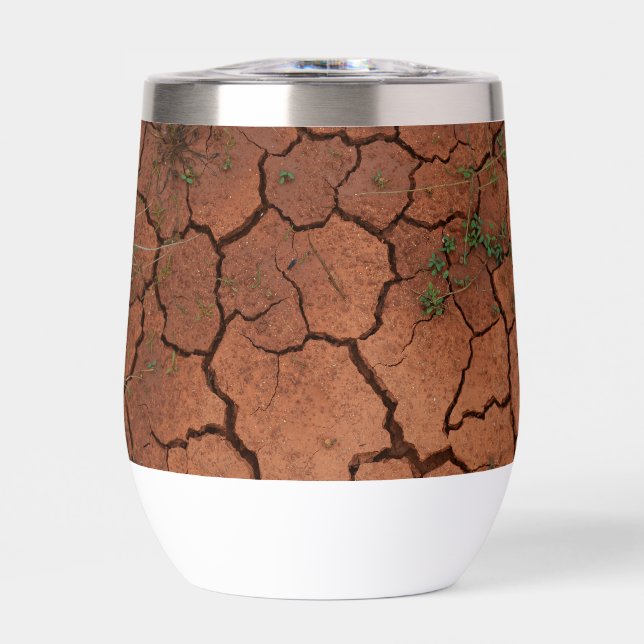 tierra seca y agrietada (Frente)