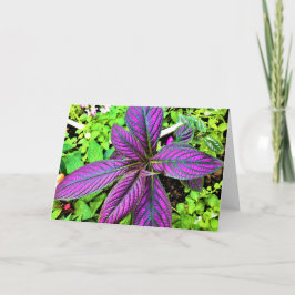 Tierra verde, tarjeta