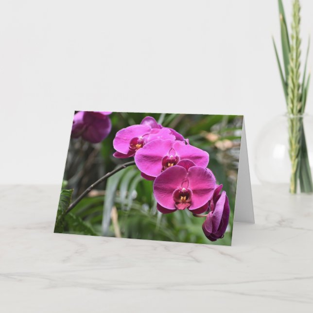 Tierra verde, tarjeta (Anverso)