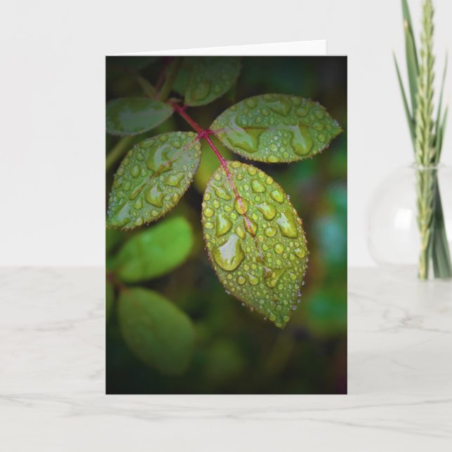 Tierra verde, tarjeta (Anverso)