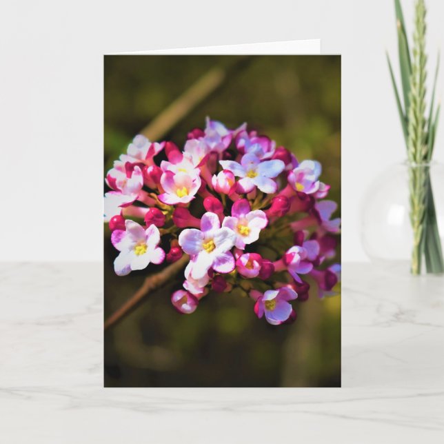 Tierra verde, tarjeta (Anverso)