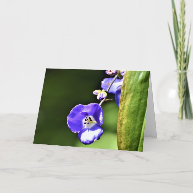 Tierra verde, tarjeta (Anverso)