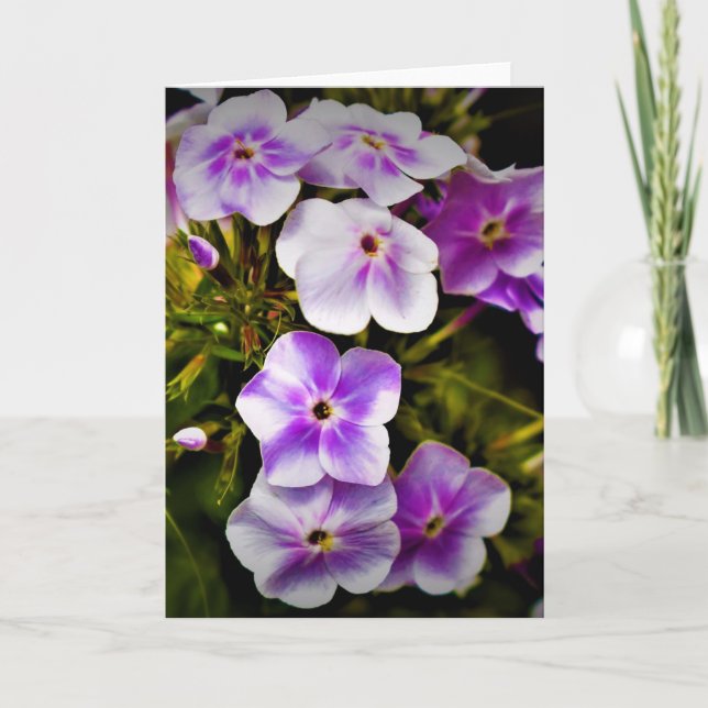 Tierra verde, tarjeta (Anverso)