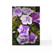 Tierra verde, tarjeta