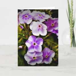 Tierra verde, tarjeta