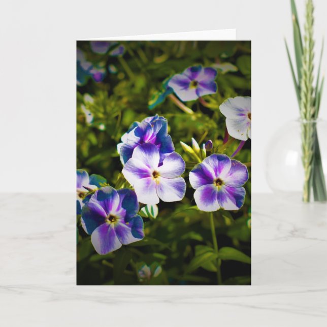 Tierra verde, tarjeta (Anverso)