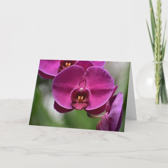 Tierra verde, tarjeta (Anverso)