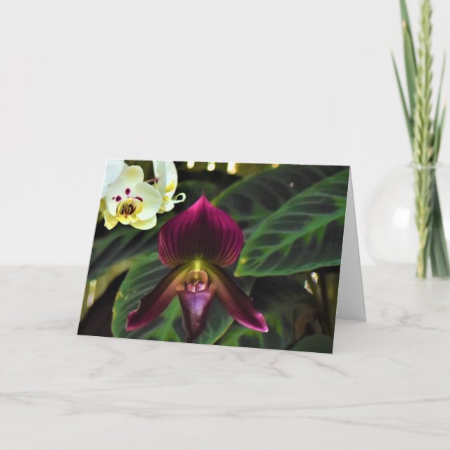 Tierra verde, tarjeta (Anverso)