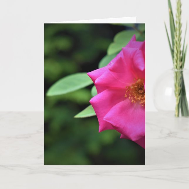 Tierra verde, tarjeta (Anverso)