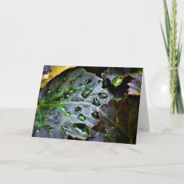 Tierra verde, tarjeta