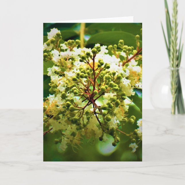 Tierra verde, tarjeta (Anverso)