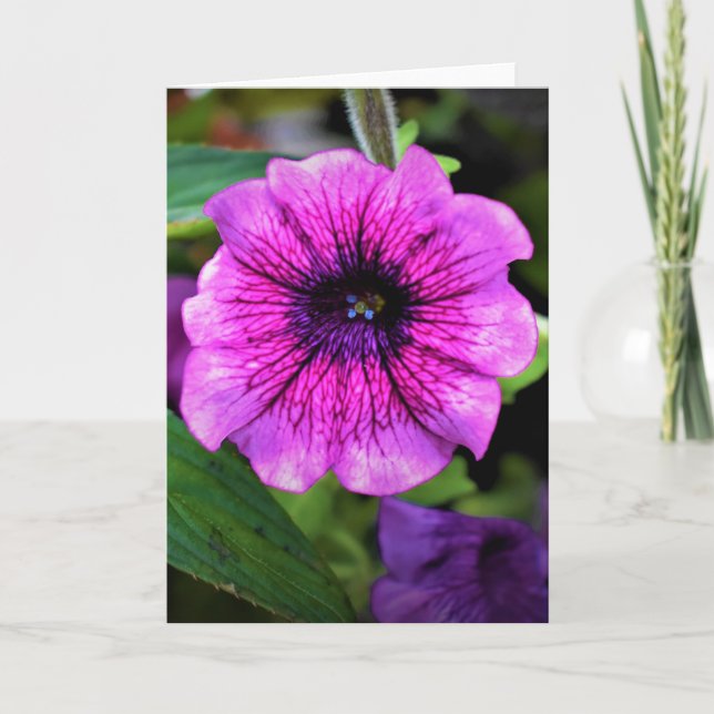 Tierra verde, tarjeta (Anverso)