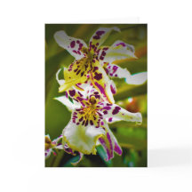 Tierra verde, tarjeta