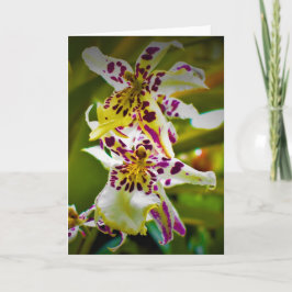 Tierra verde, tarjeta