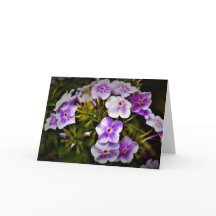 Tierra verde, tarjeta