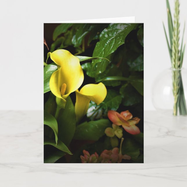 Tierra verde, tarjeta (Anverso)