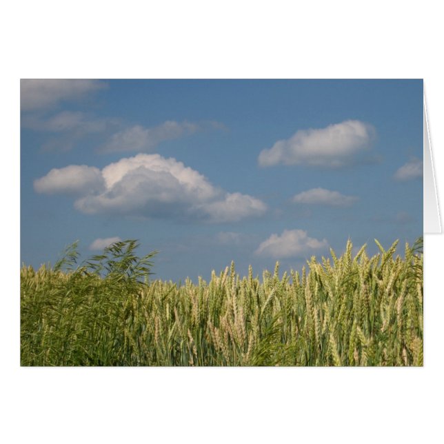 Tierra y cielo (Anverso (Horizontal))