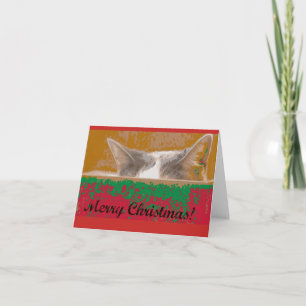 Tiffany le desea Felices Navidad