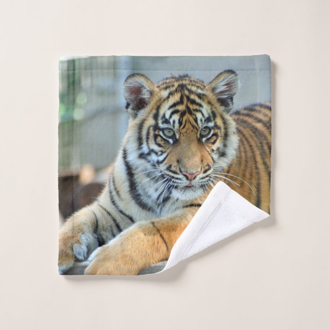 Tiger 034 (Toallita)