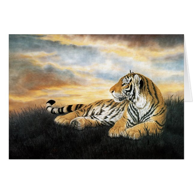 Tiger Dawn (Anverso (Horizontal))