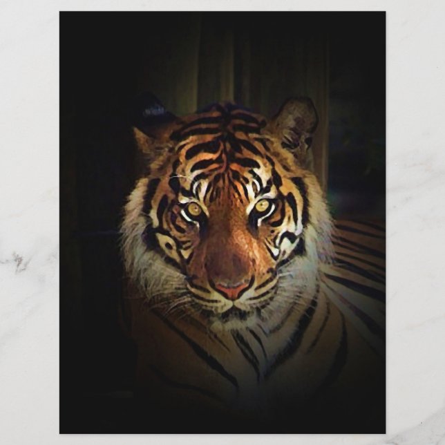 Tiger Flyer (Frente)