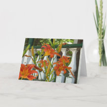 Tiger Lilies naranja - Tarjeta de viñedo de Martha