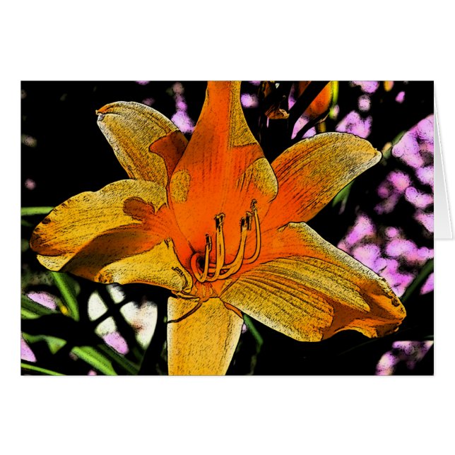 Tiger Lilly 2 (Anverso (Horizontal))