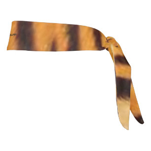 TIGRE