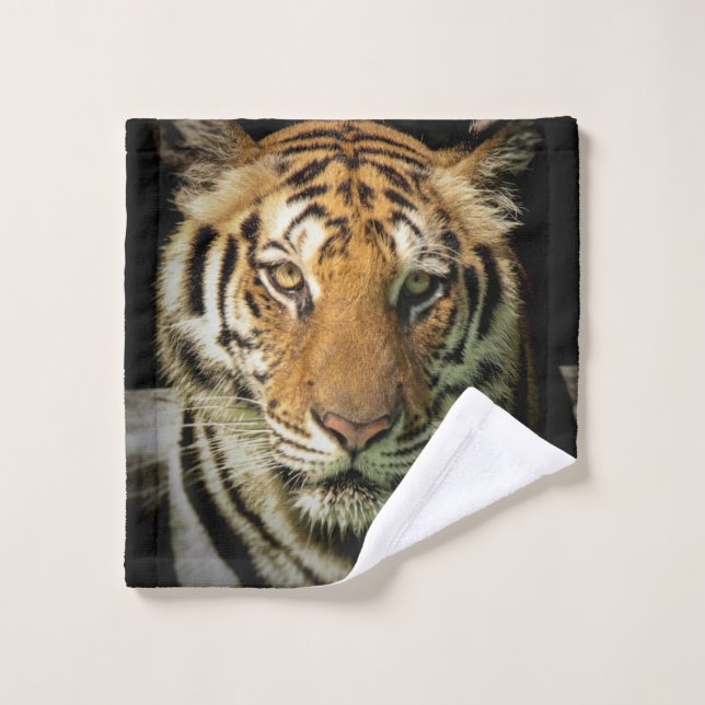 tigre (Toallita)