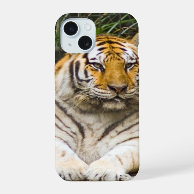 Tigre (Reverso )