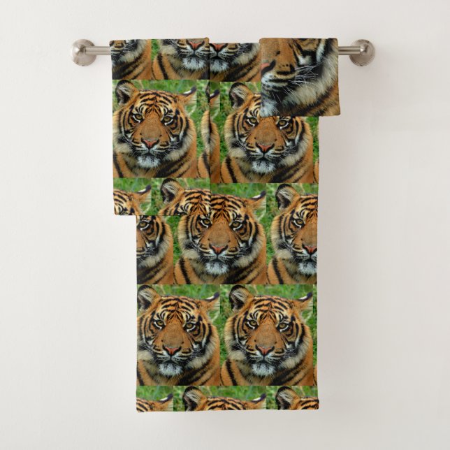 Tigre (In situ)