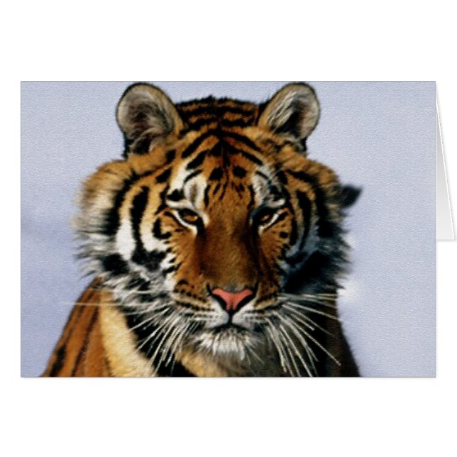 tigre (Anverso (Horizontal))