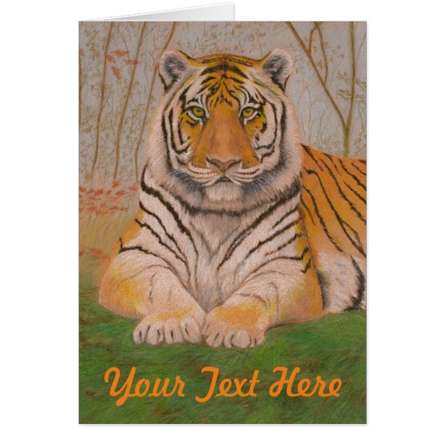 Tigre (Frente)