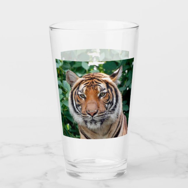 Tigre 001 (Anverso)