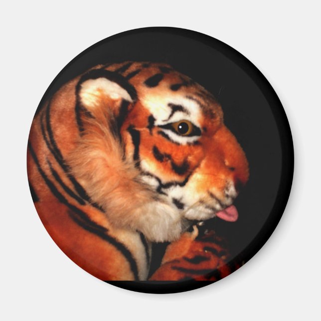 Tigre 1 A, imán (Frente)