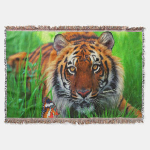 Tigre 1 Tirar una manta