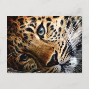 Tigre 3 - Postal
