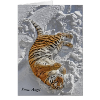 Tigre "ángel de la nieve "