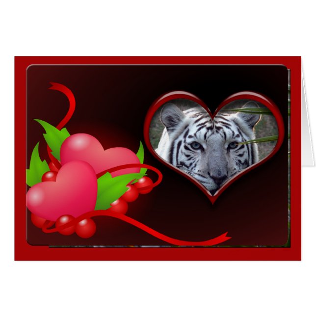 tigre blanco-00102-65x45 (Anverso (Horizontal))