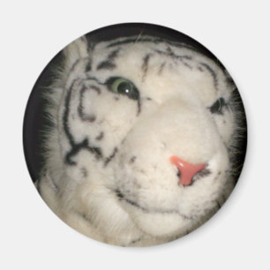 Tigre blanco 1 imán
