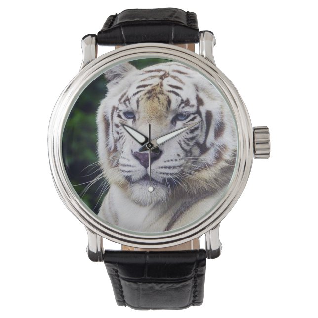 Tigre blanco 1 opciones de reloj y número (Anverso)