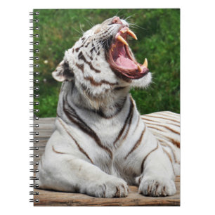 Tigre Blanco, Cuaderno de Tigre de Bengala