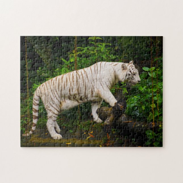 Tigre Blanco Singapur. Rompecabezas (Horizontal)